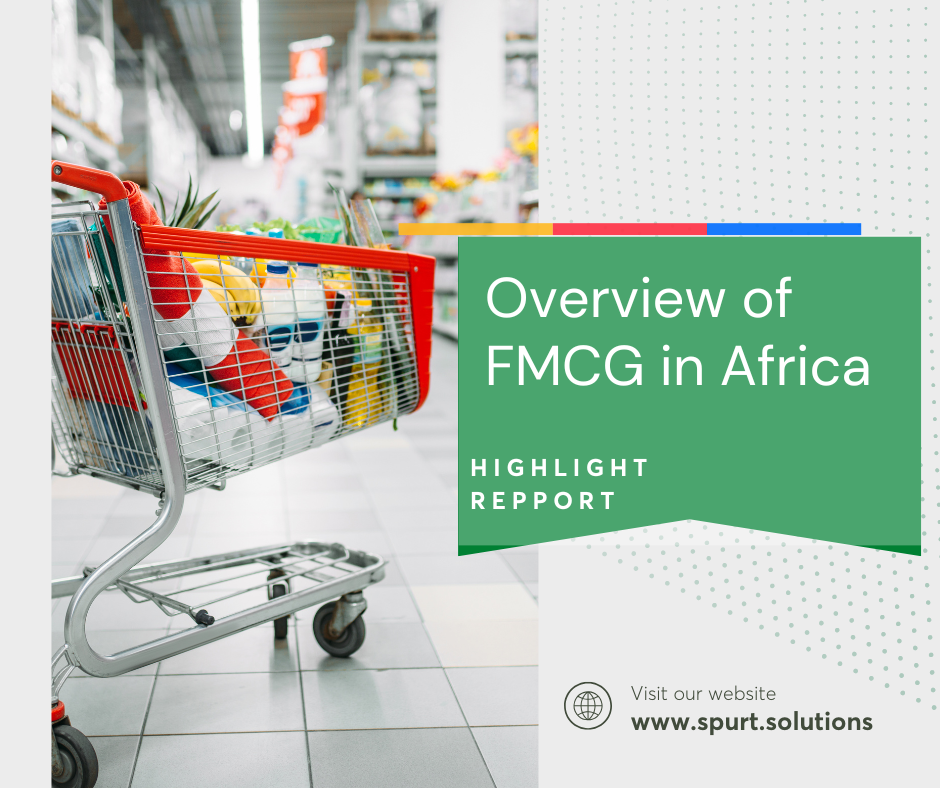 Fmcg Security Overview Overview of FMCG's in Africa 2024